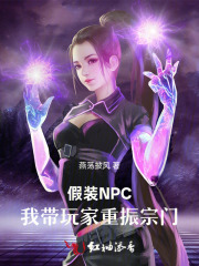 ��װNPC���Ҵ������������